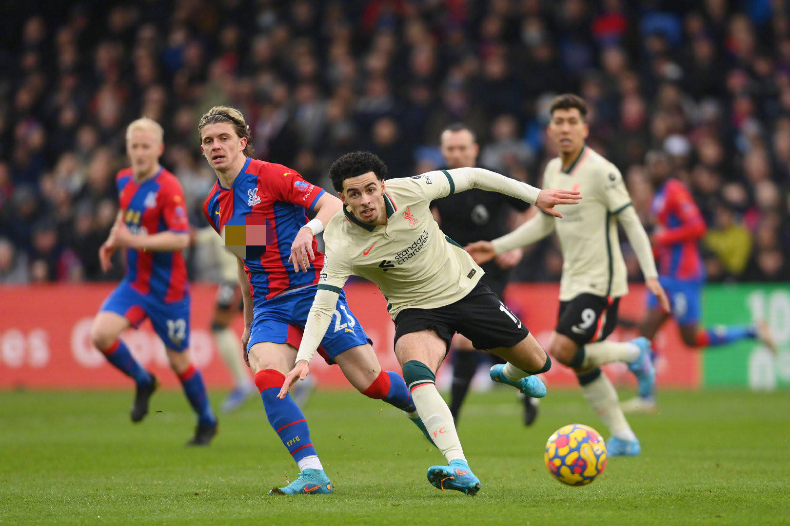 每一名球员 每一名球员